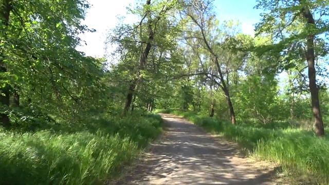 Звуки природы и здоровье. смотреть онлайн