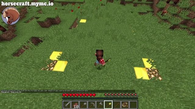 HorseCraft - The Best Horse Minecraft Server in 1.13.2