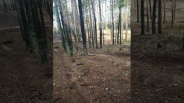 KAYO K2 Первый выезд смотреть онлайн