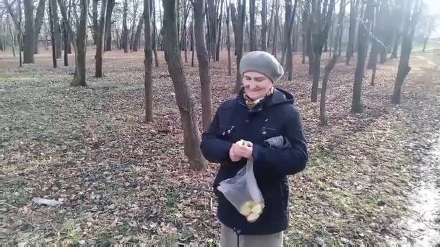 Верблюд укусил человека!