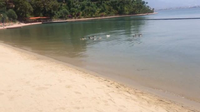 Обзор отеля CLUB & HOTEL LETOONIA 5*. Красивые пляжи. Отдых в ТУРЦИИ, Фетхие