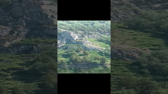 гора, Рыв медведя смотреть онлайн