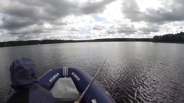 Приманки для осенней щуки. Ловля щуки на спиннинг. Практика ловли щуки из под бели. Сентябрь 2017. смотреть онлайн