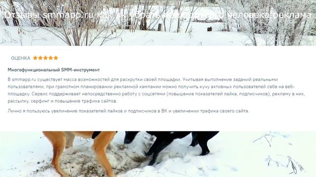 Отзывы smmapp.ru как вк убрать лайк другого человека реклама смотреть онлайн