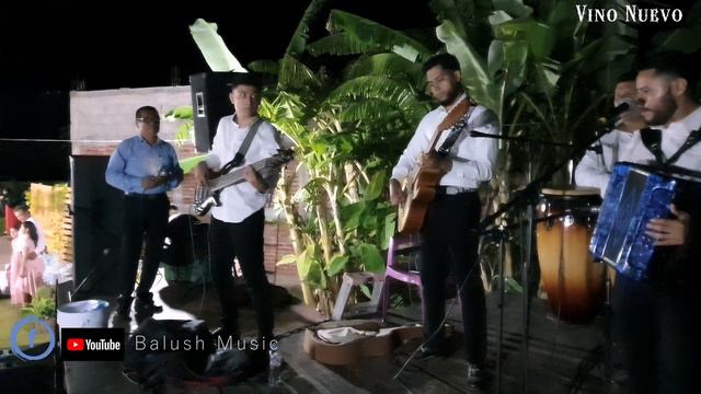 Camelia COVER | Vino Nuevo | Balush Music смотреть онлайн