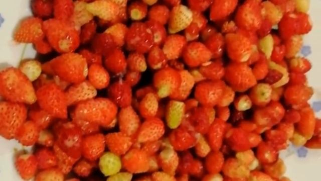 Супчик из замороженных грибов смотреть онлайн