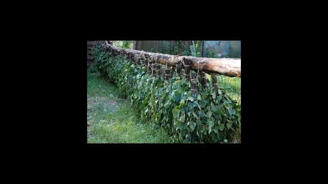 Веники в баню как бизнес идея: с чего начать свое дело смотреть онлайн