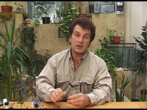 Даббинговая петля