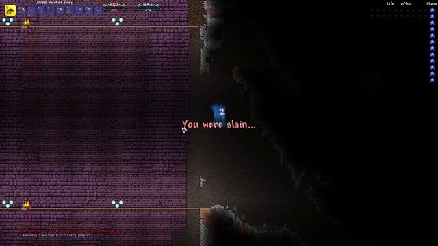 Terraria, But It’s MALICE Mode… “Signus & Ceaseless Void" |17| смотреть онлайн