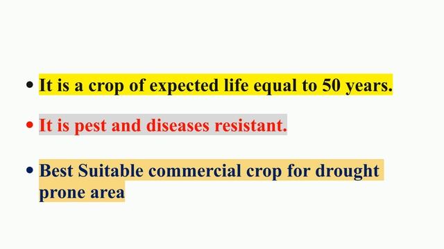 Jatropha a diesel plant смотреть онлайн