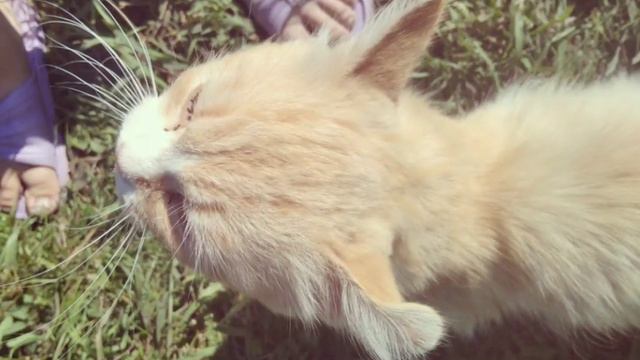Я очень сильно люблю фотографировать смотреть онлайн