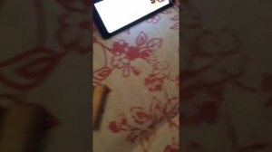 Дирижабль Гинденбург