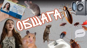 Жизнь ОБЩАЖНАЯ. Переезд в новый город, поступление в ВУЗ и общежитие.