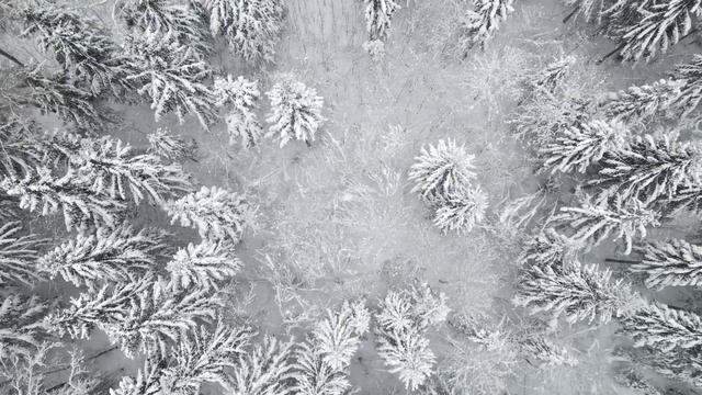 Вот бы закутаться : эмбиент поэзия | Современные стихи смотреть онлайн