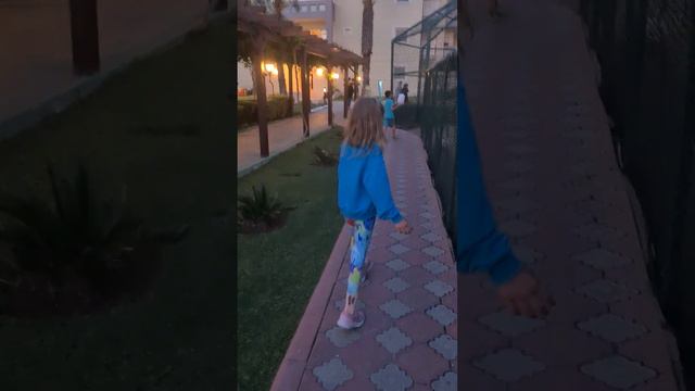 Камелия зоопарк смотреть онлайн