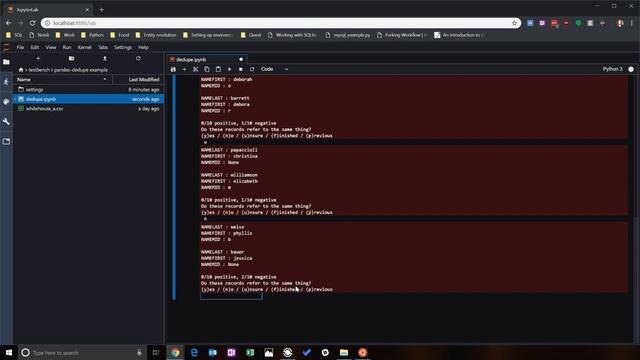 Fuzzy Deduplication with Python смотреть онлайн