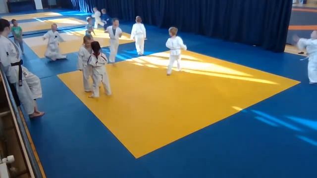 Тренировка детской группы дзюдо 24.04.2022 (16:00) смотреть онлайн