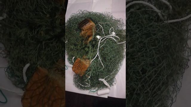 Проведение ритуала "Поймать беду в невод" смотреть онлайн