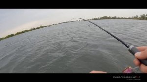 Сибиряк 007 в Калининграде день 1ый