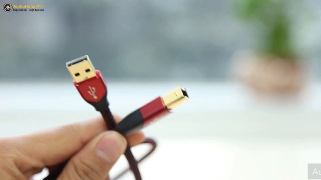 Bộ tứ dây tín hiệu AudioQuest: Pearl, Forest, Cinnamon, Carbon | AudioHanoiTV 82 смотреть онлайн