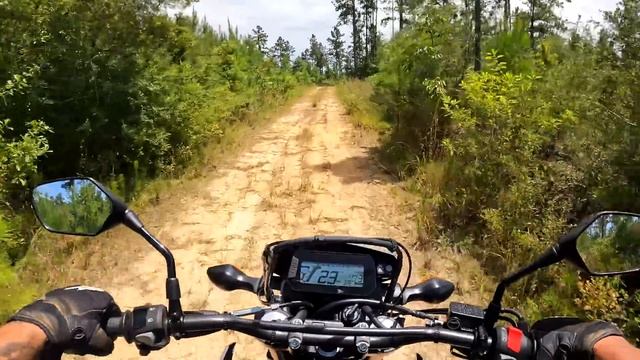 My NEW 2023 Honda CRF300LS / First Impressions On And Off Road