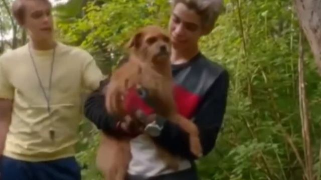Farewell video of Cameron Boyce. / Прощальное видио Камерона Бойса.? смотреть онлайн