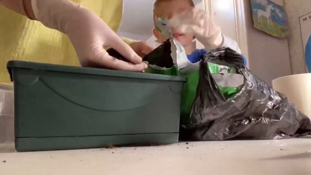 Сажаю растения🌱 смотреть онлайн