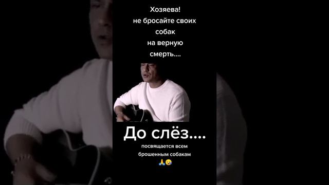 Животные-спасают Человека в человеке! Кто досмотрит до конца.Ютуб/к:Владимир Стороженко)+7924123244 смотреть онлайн