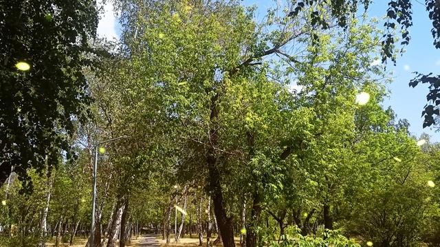 Обнаглевшая свекровь требует от сына, чтобы он помогал сестре деньгами смотреть онлайн
