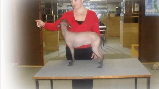 С Днём Рождения, Марина!!!!! смотреть онлайн