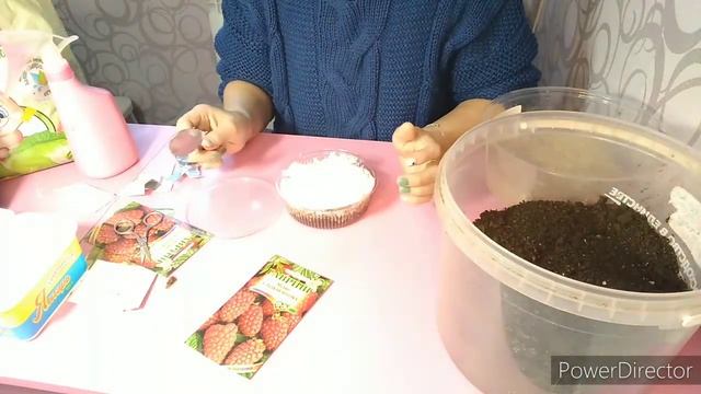 Стратификация семян малины, земляники. Что это? Часть 1. смотреть онлайн