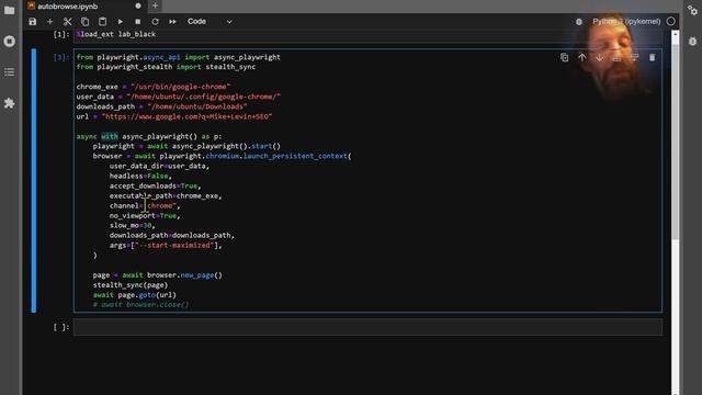 Microsoft Playwright on JuputerLab смотреть онлайн