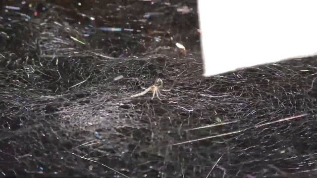 Första test Panasonic HC-VXF 990 4K videokamera смотреть онлайн