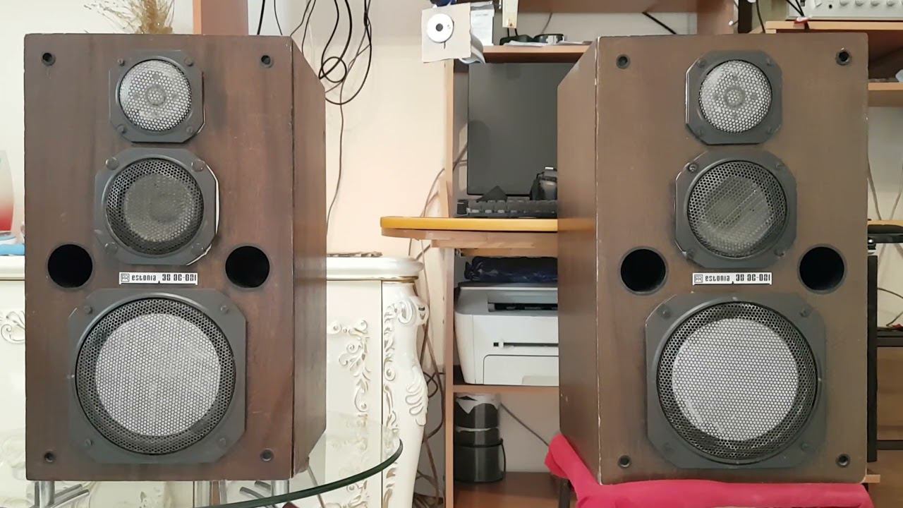 Акустическая система (колонки) Estonia 35ас-021
