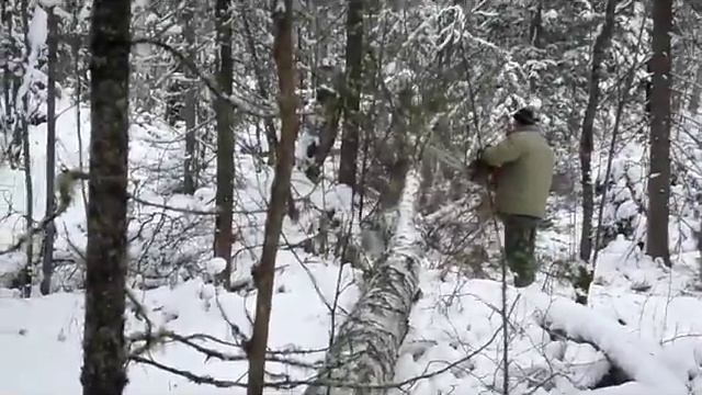 Дровишки 2017 2 смотреть онлайн