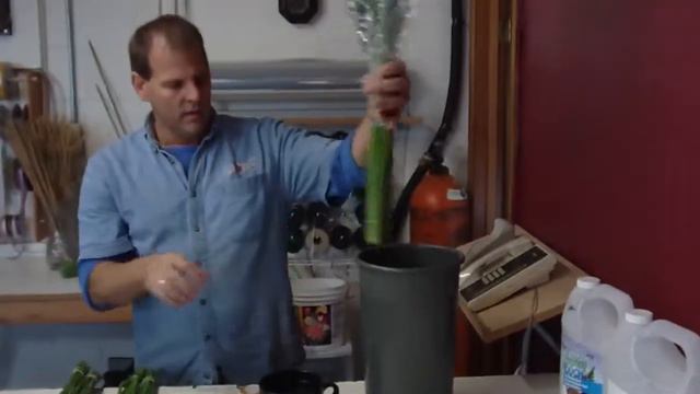 How To Prepare Asst SS Alstroemeria - lwflowers.com смотреть онлайн