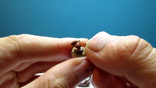 Миниатюрный цветок во флаконе от губной помады. Простые поделки своими руками. смотреть онлайн