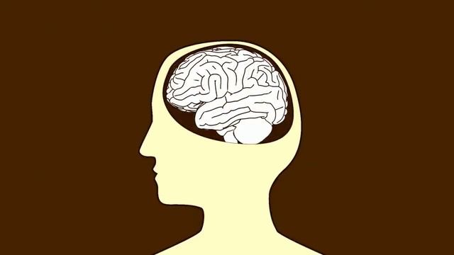 BRAIN PART 1: COMPUTING ORGAN (Our Fascinating Planet - Ep 5) смотреть онлайн