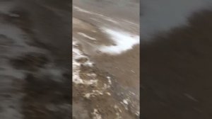 Шевроле Каптива С100 2.4 не в каждом сервисе вам об этом скажут!