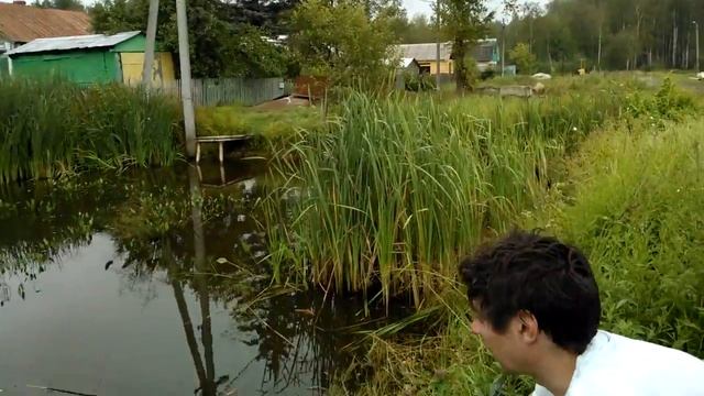 Что ему помешало ПОЙМАТЬ рыбу ? смотреть онлайн