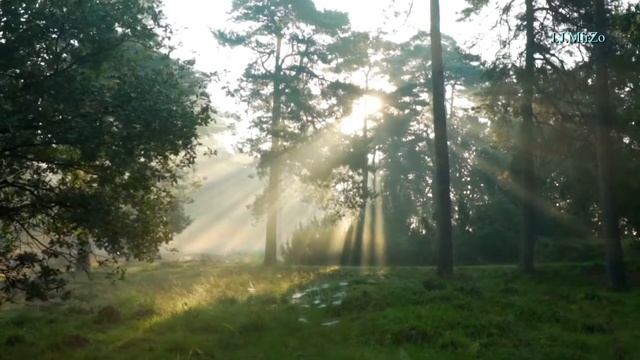 Relaxing Music For Relaxation, From Fatigue | Расслабляющая музыка для отдыха, от усталости