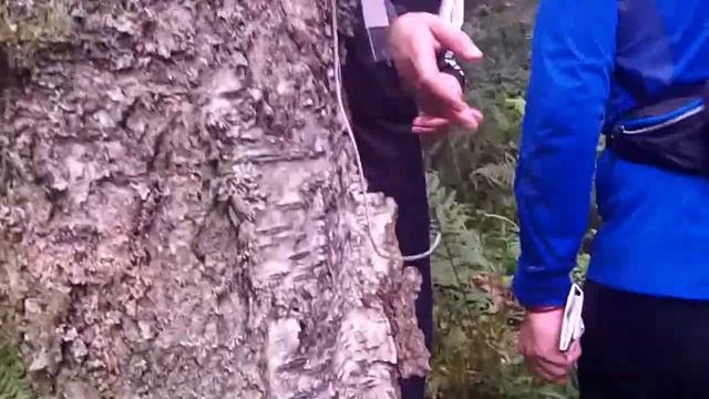 11-й Чемпионат мира по рогейну 2013 / 11th World Rogaining Championships 2013 смотреть онлайн