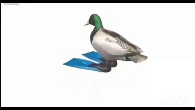 моё новое интро (аутро такое же). смотреть онлайн