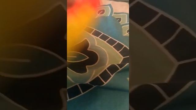 Коля лопает попит сердечко ❤️