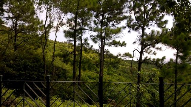 Остров Ламма, мега-сверчки смотреть онлайн