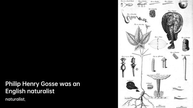 Philip Henry Gosse: Exploring the Depths | Scientist Biography смотреть онлайн