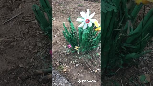 Сухой куст и пустая бутылка