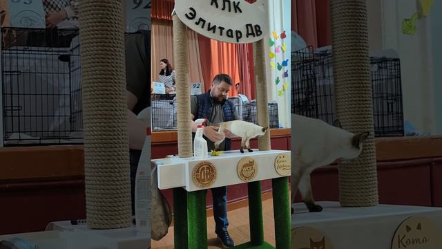 Ядвига все в том же Приамурском смотреть онлайн