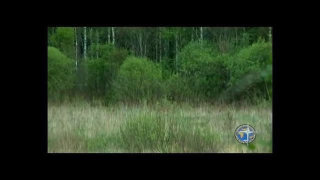 Охота на косулю Часть 4 смотреть онлайн