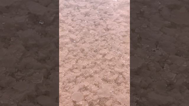 Эльтон за 30 сек.mp4